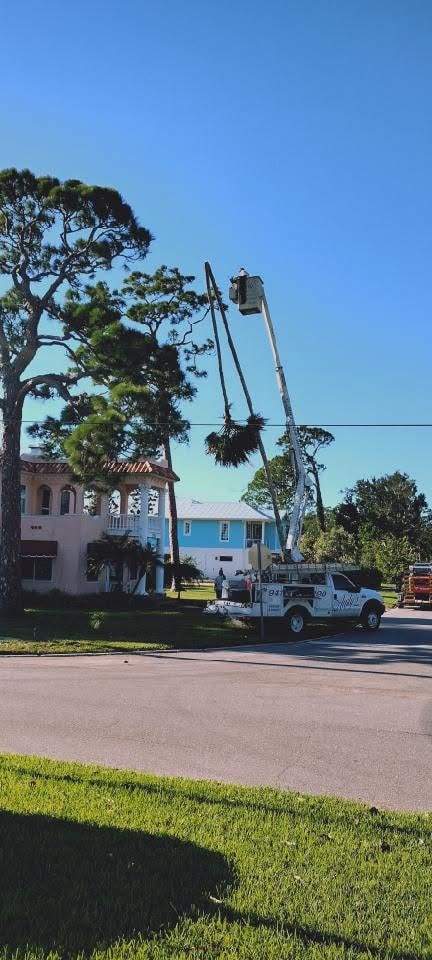 Bucket truck at full reach working on a tall tree by the road, a two-story house behind it.