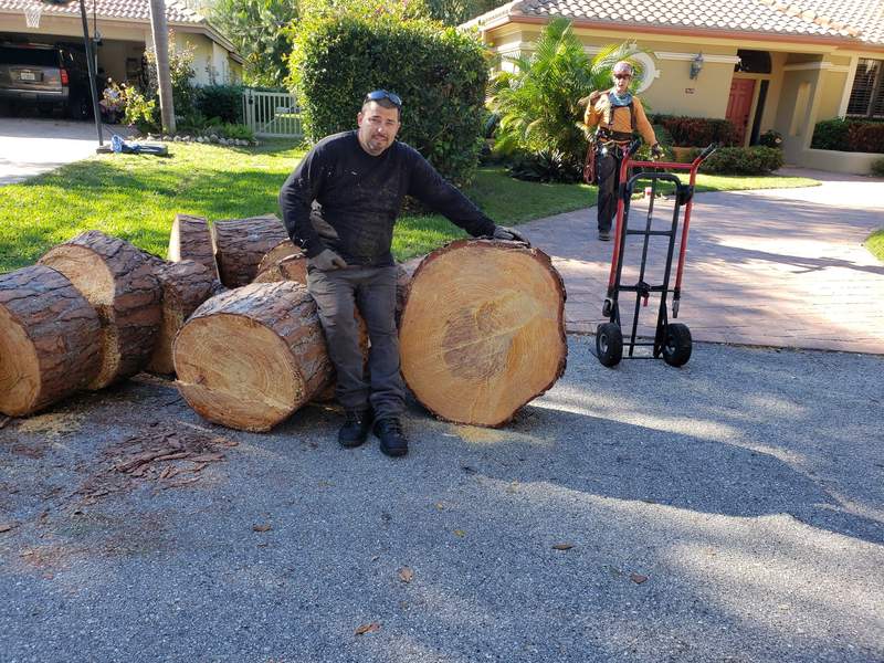 Crew member sitting on big rounds cut from a tree trunk in a driveway, with a second crew member and a hand truck behind him.