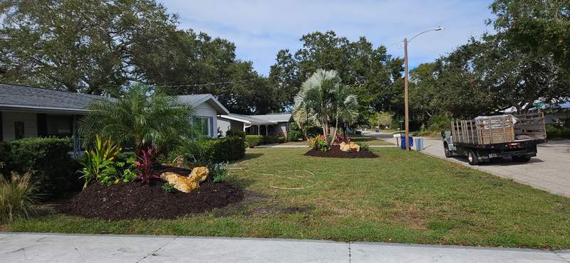 Front yard with new island beds of palms and tropical plants, decorative boulders and fresh dark mulch.
