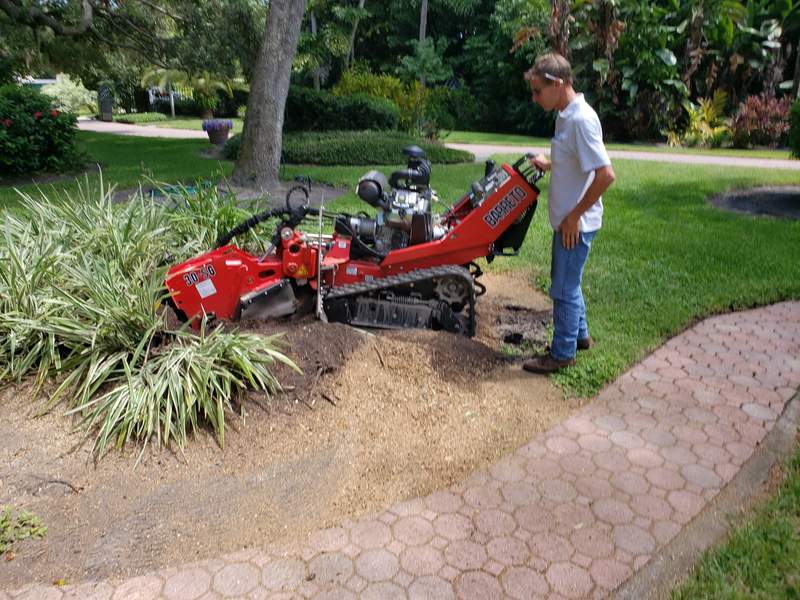 Stump grinder working a stump down in a landscaped bed beside a curved paver walkway.