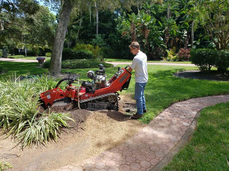 Crew member running a red stump grinder in a front-yard planting bed next to a brick paver walkway.