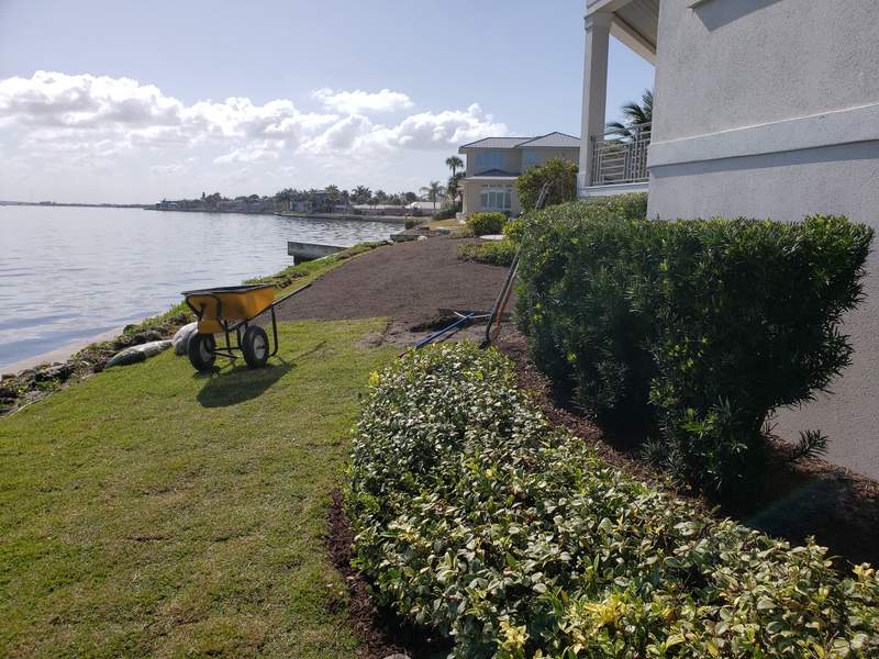 The same waterfront yard with new sod laid down to the seawall, trimmed hedges along the house and a wheelbarrow on the lawn.